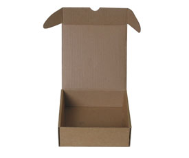 特殊封口(kǒu)包裝産品紙(zhǐ)盒